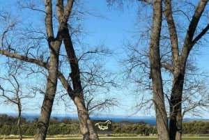 Private Tour: Wein, Bier und heiße Quellen auf der Mornington Peninsula