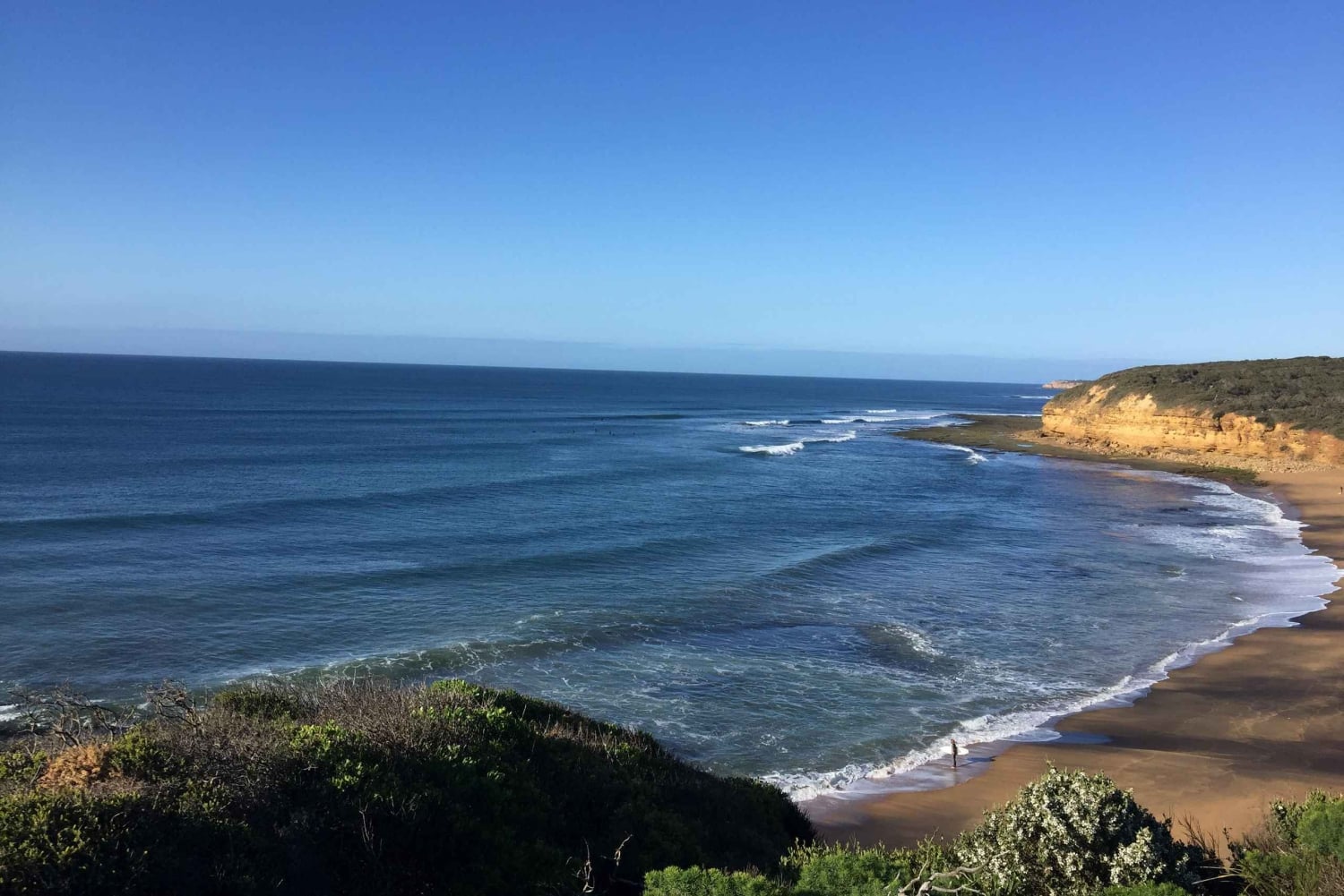Private Tour of the Great Ocean Road & 12 Apostles