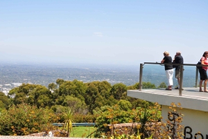 Privat tur til Dandenong Ranges og Puffing Billy-damptoget