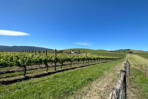 Private Tour: Yarra Valley Wine, Cheese, Gin & Chocolatrie