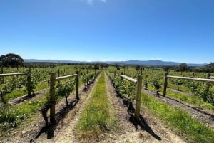 Private Tour: Yarra Valley Wine, Cheese, Gin & Chocolatrie