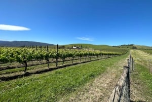 Privé Tour: Yarra Valley wijn, kaas, gin en chocolade