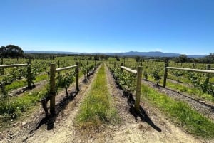 Privé Tour: Yarra Valley wijn, kaas, gin en chocolade
