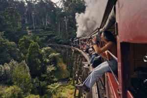 Great Ocean Road Premium Small Group Tour In Luxury Bus