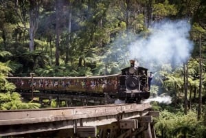 Great Ocean Road Premium Small Group Tour In Luxury Bus