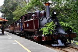 Great Ocean Road Premium Small Group Tour In Luxury Bus