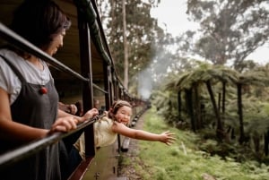 Puffing Billy, Forest Trails & Yarra Valley Discovery Tour