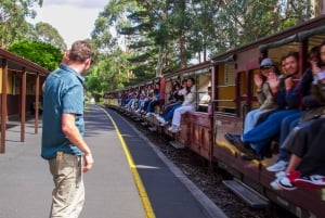 Puffing Billy, Forest Trails & Yarra Valley Discovery Tour