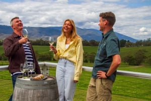 Puffing Billy, Forest Trails & Yarra Valley Discovery Tour