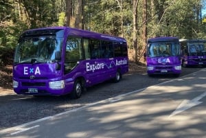 Puffing Billy, Healesville Sanctuary og sjokoladeverksted