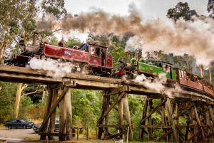 Puffing Billy Railway: Heritage Steam Train Journey