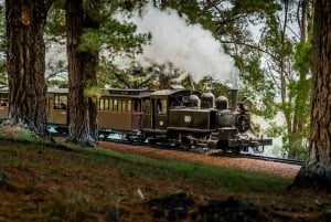 Puffing Billy Railway: Heritage Steam Train Journey