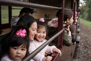 Puffing Billy Railway: Heritage Steam Train Journey