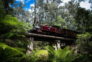 Puffing Billy Railway: Heritage Steam Train Journey