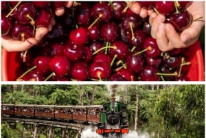 Puffing Billy Steam Train & Cherry Picking Day Tour - wycieczka jednodniowa