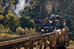 Puffing Billy Steam Train & Cherry Picking Day Tour - wycieczka jednodniowa