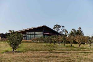 Puffing Billy Steam Train & Cherry Picking Day Tour - wycieczka jednodniowa