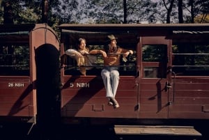 Puffing Billy Steam Train & Cherry Picking Day Tour - wycieczka jednodniowa