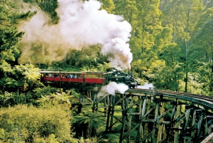  Puffing Billy Steam Train & Healesville Wildlife