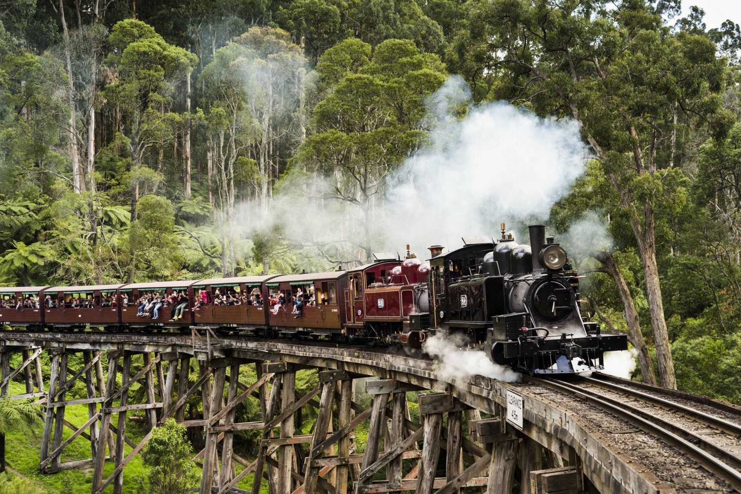  Puffing Billy & Yarra Valley Wine Tour W/O Lunch