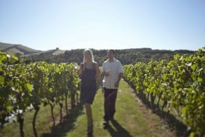Puffing Billy & Yarra Valley Wine Tour W/O Lunch