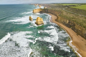 Reimagined Great Ocean Road Tour de 1 día desde Melbourne