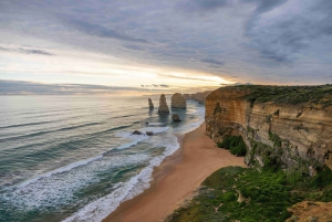 Reimagined Great Ocean Road Tour de 1 día desde Melbourne