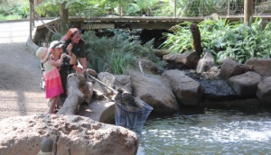 Rhyll Trout and Bushtucker Farm