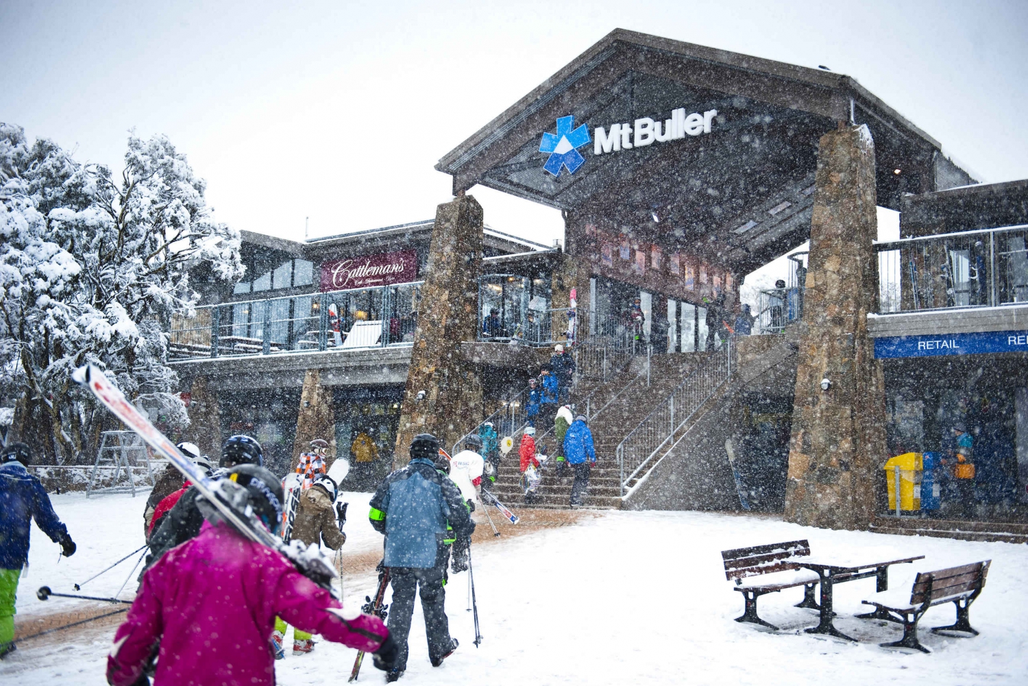 Scenic Mt Buller Snowfields Tour with Return Chairlift Ride in Melbourne