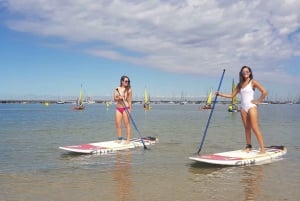 Сент-Килда: групповой урок по гребле на доске с веслом