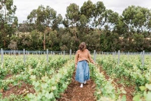 Ten Minutes by Tractor: Fine Wine & Gastronomy Experience