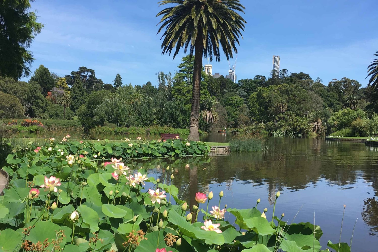 Den berömda Melbourne City Bike Tour