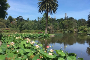 Den berömda Melbourne City Bike Tour