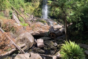 The Great Ocean Road Private Day Trip