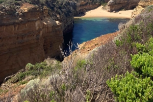 The Great Ocean Road Private Day Trip