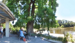 The Terrace