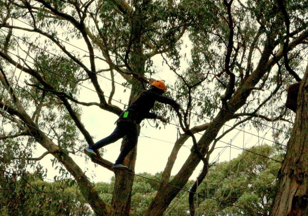 Tree Surfing in Melbourne | My Guide Melbourne