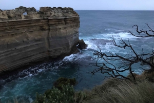 Melbourne: Great Ocean Road Day Trip with Rainforest Visit
