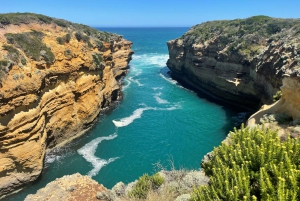 Melbourne: Great Ocean Road Day Trip with Rainforest Visit