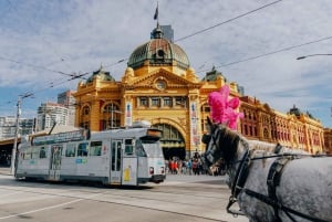 Ultimate Melbourne Rundvandring: Historia, gränder och kultur