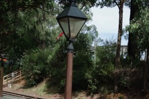 Treno a vapore e parata dei pinguini Tour di un giorno in lingua cinese