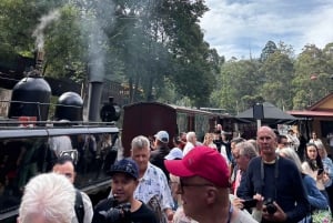Treno a vapore e parata dei pinguini Tour di un giorno in lingua cinese