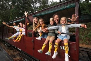 Treno a vapore e parata dei pinguini Tour di un giorno in lingua cinese