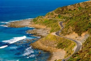Victoria's Great Ocean Road Private Day Tour