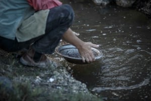 Werribee Mansion & Sovereign Hill Tour