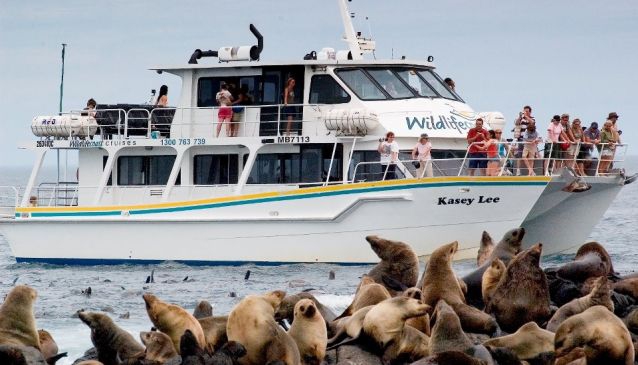 Wildlife Coast Cruises