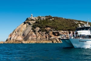 Welshpool: Wilsons Promontory Nature and Wildlife Day Cruise