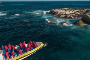 Wilsons Promontory: 2.5-Hour Wilderness Cruise