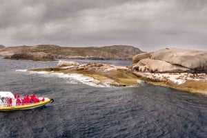 Wilsons Promontory: Afternoon Wilderness Cruise
