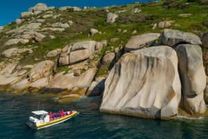 Melbourne: Wilsons Promontory Morning Wilderness Cruise